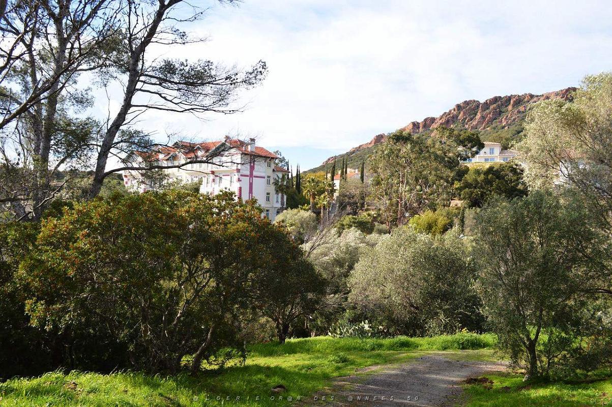a007- Agay igesa.JPG
